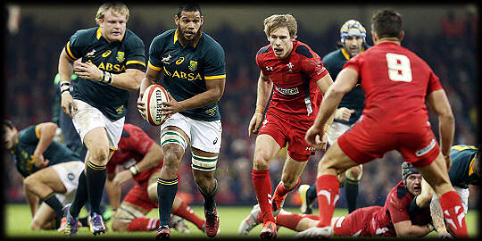 Wales Springboks